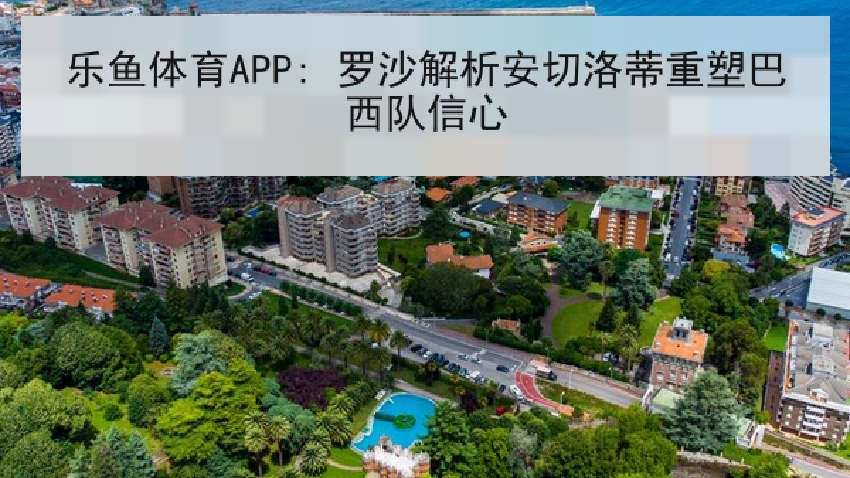 乐鱼体育APP: 罗沙解析安切洛蒂重塑巴西队信心