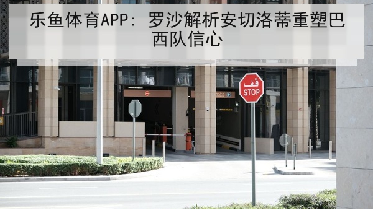 乐鱼体育APP: 罗沙解析安切洛蒂重塑巴西队信心
