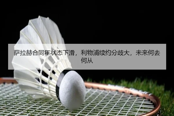 sa-la-he-he-tong-nian-zhuang-tai-xia-hua-li-wu-pu-xu-yue-fen-qi-da-wei-lai-he-qu-he-cong-2-623.jpg
