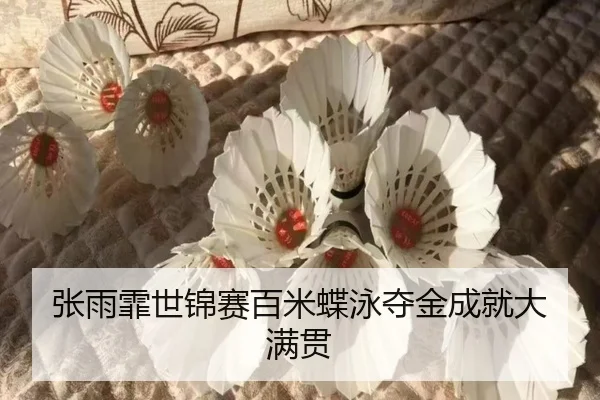 zhang-yu-fei-shi-jin-sai-bai-mi-die-yong-duo-jin-cheng-jiu-da-man-guan-2-928.jpg