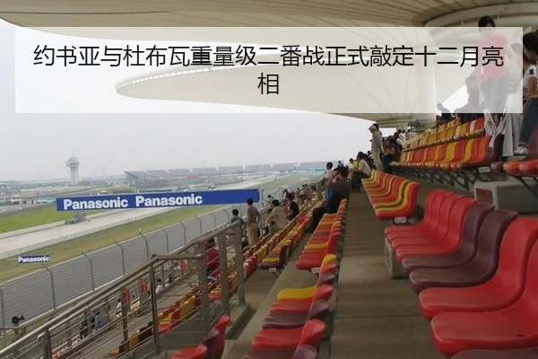 约书亚与杜布瓦重量级二番战正式敲定十二月亮相