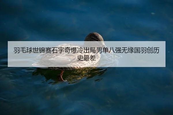 yu-mao-qiu-shi-jin-sai-shi-yu-qi-bao-leng-chu-ju-nan-dan-ba-qiang-wu-yuan-guo-yu-chuang-li-shi-zui-cha-2-591.jpg