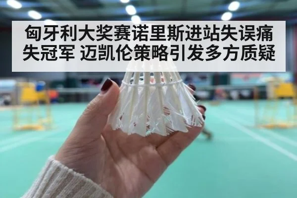 匈牙利大奖赛诺里斯进站失误痛失冠军 迈凯伦策略引发多方质疑